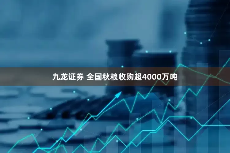 九龙证券 全国秋粮收购超4000万吨