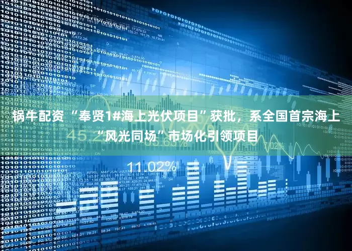 锅牛配资 “奉贤1#海上光伏项目”获批，系全国首宗海上“风光同场”市场化引领项目