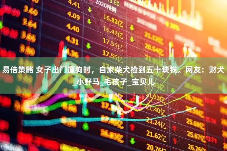 易倍策略 女子出门遛狗时，自家柴犬捡到五十块钱。网友：财犬_小野马_毛孩子_宝贝儿